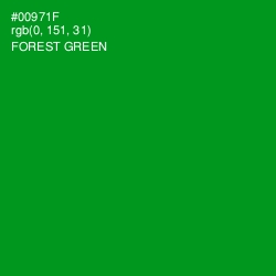 #00971F - Forest Green Color Image